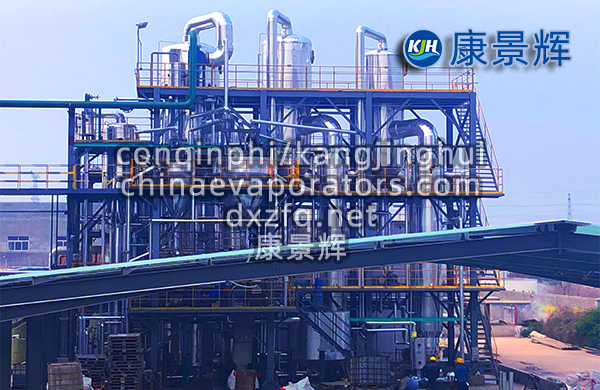 硫酸鋰MVR蒸發器