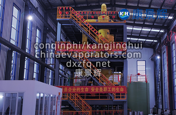 有機廢水處理蒸發結晶器